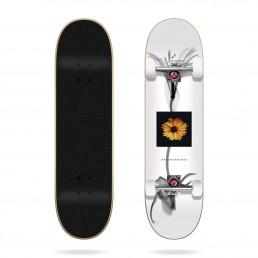 Skateboard Jart X Ray 7.6